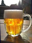 Pilsner Urquell nefiltrovany, nefiltrovana varianta lezaku Pilsner Urquell pullitr