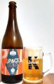 Pioneer beer - Space Gods 13°,  lahev a sklenice